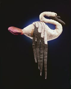Cigno